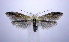  ( - jflandry0981)  @14 [ ] Copyright (2007) Unspecified Canadian National Collection