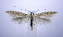  ( - jflandry0946)  @14 [ ] CreativeCommons - Attribution (2010) Unspecified Centre for Biodiversity Genomics