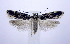  ( - jflandry0967)  @14 [ ] CreativeCommons - Attribution (2010) Unspecified Centre for Biodiversity Genomics