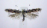  ( - jflandry0956)  @15 [ ] Copyright (2007) Unspecified Canadian National Collection