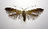  ( - jflandry0982)  @14 [ ] Copyright (2007) Unspecified Canadian National Collection