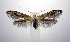  ( - jflandry0983)  @14 [ ] Copyright (2007) Unspecified Canadian National Collection