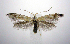  ( - jflandry0985)  @14 [ ] Copyright (2007) Unspecified Canadian National Collection