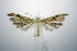  ( - jflandry1099)  @13 [ ] Copyright (2007) Unspecified Canadian National Collection