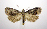  ( - jflandry1013)  @14 [ ] Copyright (2007) Unspecified Canadian National Collection