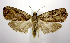  ( - jflandry1059)  @13 [ ] Copyright (2007) Unspecified Canadian National Collection