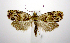  ( - jflandry1094)  @14 [ ] Copyright (2007) Unspecified Canadian National Collection