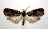 ( - jflandry1049)  @14 [ ] CreativeCommons - Attribution (2010) Unspecified Centre for Biodiversity Genomics