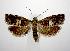  ( - jflandry1030)  @13 [ ] CreativeCommons - Attribution (2010) Unspecified Centre for Biodiversity Genomics