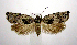  ( - jflandry1038)  @14 [ ] CreativeCommons - Attribution (2010) Unspecified Centre for Biodiversity Genomics