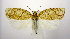 ( - jflandry1064)  @14 [ ] Copyright (2007) Unspecified Canadian National Collection