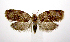  ( - jflandry1026)  @13 [ ] Copyright (2007) Unspecified Canadian National Collection