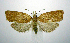  ( - jflandry1029)  @14 [ ] Copyright (2007) Unspecified Canadian National Collection