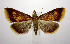  ( - jflandry1019)  @14 [ ] Copyright (2007) Unspecified Canadian National Collection