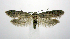  ( - jflandry0989)  @14 [ ] Copyright (2007) Unspecified Canadian National Collection