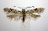 ( - jflandry0965)  @14 [ ] Copyright (2007) Unspecified Canadian National Collection