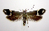  ( - jflandry1011)  @13 [ ] CreativeCommons - Attribution (2010) Unspecified Centre for Biodiversity Genomics