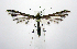  ( - jflandry1033)  @14 [ ] Copyright (2007) Unspecified Canadian National Collection