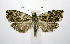  ( - jflandry1036)  @14 [ ] Copyright (2007) Unspecified Canadian National Collection