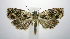  ( - jflandry1025)  @14 [ ] Copyright (2007) Unspecified Canadian National Collection