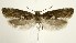  ( - jflandry1157)  @13 [ ] Copyright (2007) Unspecified Canadian National Collection