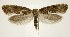  ( - jflandry1161)  @13 [ ] Copyright (2007) Unspecified Canadian National Collection
