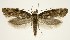  ( - jflandry1165)  @14 [ ] Copyright (2007) Unspecified Canadian National Collection