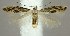  ( - jflandry1179)  @13 [ ] Copyright (2007) Unspecified Canadian National Collection