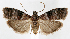  ( - jflandry1197)  @14 [ ] CreativeCommons - Attribution (2010) Unspecified Centre for Biodiversity Genomics