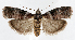  ( - jflandry1198)  @13 [ ] CreativeCommons - Attribution (2010) Unspecified Centre for Biodiversity Genomics