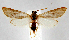  ( - jflandry1205)  @14 [ ] CreativeCommons - Attribution (2010) Unspecified Centre for Biodiversity Genomics