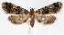  ( - jflandry1208)  @13 [ ] Copyright (2007) Unspecified Canadian National Collection