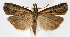  ( - jflandry1220)  @14 [ ] Copyright (2007) Unspecified Canadian National Collection