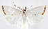  ( - jflandry1224)  @14 [ ] Copyright (2007) Unspecified Canadian National Collection
