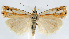  ( - jflandry1230)  @14 [ ] Copyright (2007) Unspecified Canadian National Collection