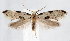  ( - jflandry1255)  @14 [ ] Copyright (2007) Unspecified Canadian National Collection