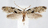  ( - jflandry1256)  @14 [ ] Copyright (2007) Unspecified Canadian National Collection