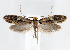 ( - jflandry1263)  @14 [ ] Copyright (2007) Unspecified Canadian National Collection