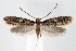  ( - jflandry1264)  @14 [ ] Copyright (2007) Unspecified Canadian National Collection