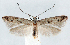  ( - jflandry1266)  @14 [ ] CreativeCommons - Attribution (2010) Unspecified Centre for Biodiversity Genomics