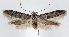  ( - jflandry1307)  @14 [ ] CreativeCommons - Attribution (2010) Unspecified Centre for Biodiversity Genomics