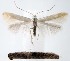  ( - jflandry1590)  @14 [ ] Copyright (2007) Unspecified Canadian National Collection