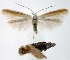  ( - jflandry1605)  @14 [ ] Copyright (2007) Unspecified Canadian National Collection