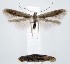  ( - jflandry1715)  @14 [ ] Copyright (2007) Unspecified Canadian National Collection