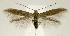  ( - jflandry2381)  @14 [ ] Copyright (2007) Unspecified Canadian National Collection