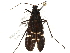  ( - BIOUG35238-H05)  @11 [ ] CreativeCommons - Attribution (2017) Unspecified Centre for Biodiversity Genomics