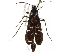  ( - BIOUG35238-H08)  @11 [ ] CreativeCommons - Attribution (2017) Unspecified Centre for Biodiversity Genomics