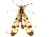  ( - BIOUG35303-A07)  @11 [ ] CreativeCommons - Attribution (2017) Unspecified Centre for Biodiversity Genomics
