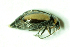  ( - MIS_LEM_MS_0000042)  @13 [ ] Unspecified (default): All Rights Reserved  Unspecified Unspecified
