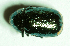  ( - MIS_LEM_MS_0000053)  @12 [ ] Unspecified (default): All Rights Reserved  Unspecified Unspecified
